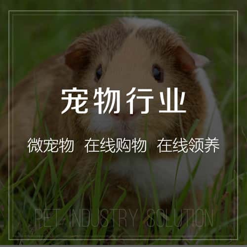 石家庄宠物