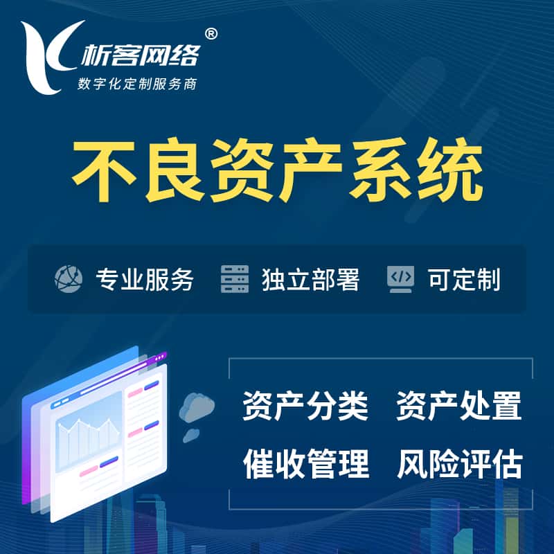 石家庄不良资产管理系统